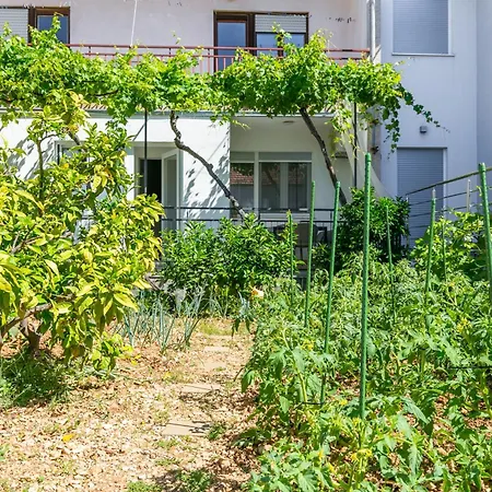Apartment With Parking Space - 23849 Trogir